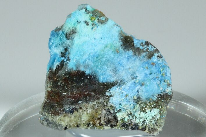 Vibrant Blue, Cyanotrichite Crystal Aggregates - China #186007
